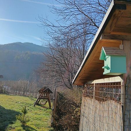 Casuta Din Rusca Villa Oltalsósebes Kültér fotó