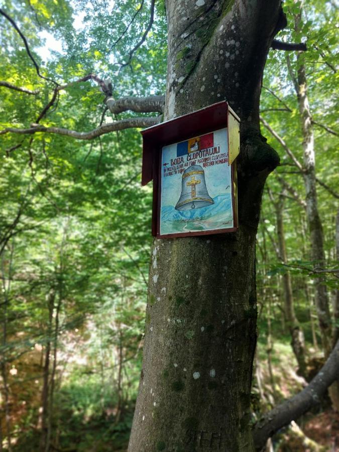 Casuta Din Rusca Villa Oltalsósebes Kültér fotó